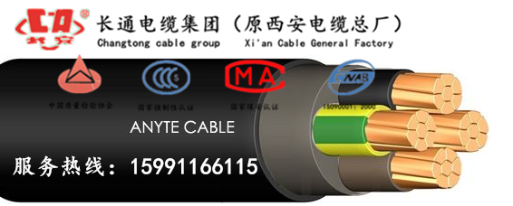 長通電纜國標(biāo)保檢低煙無鹵耐火電纜 WDZN-YJ(F)E 3×10mm