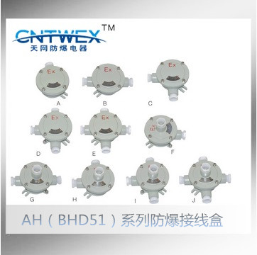 AH（BHD51）-16系列防爆接線盒