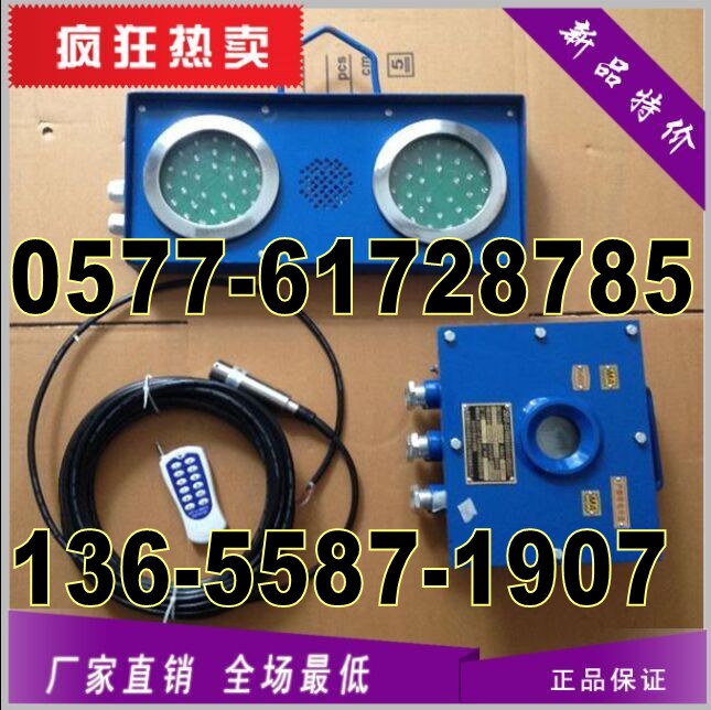 礦用高低水位聲光語言報(bào)警器ZSB127-Z-127V