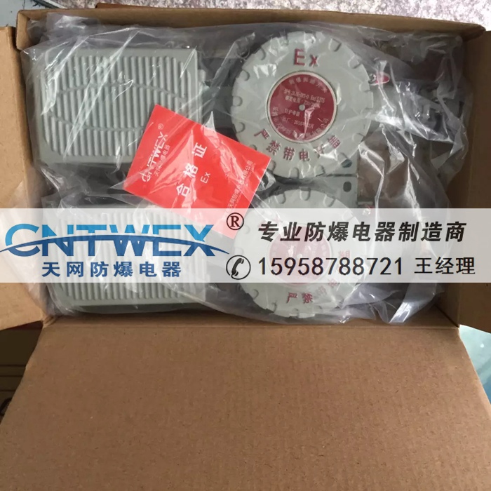 防爆腳踏開關(guān) 踏板 防護(hù)罩DLXK-DYT-X BXK58