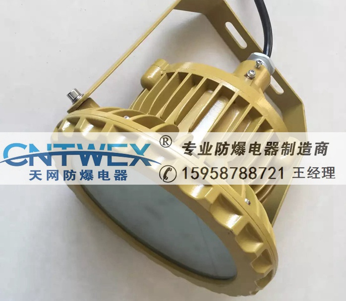 防爆BZD130-20WLED燈配2.5米護(hù)欄桿法蘭桿IICT6 IP65