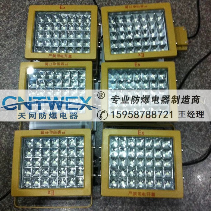 CCD97-100W防爆免維護(hù)LED泛光燈IICT6 IP65