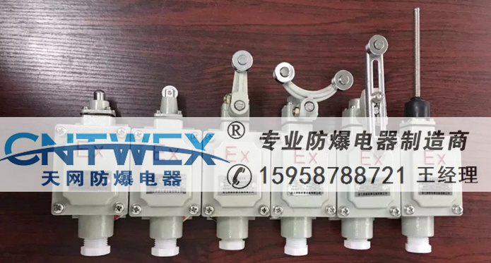 ME8108防爆行程開關(guān)IIBIP65電廠/發(fā)電廠/變電站專用