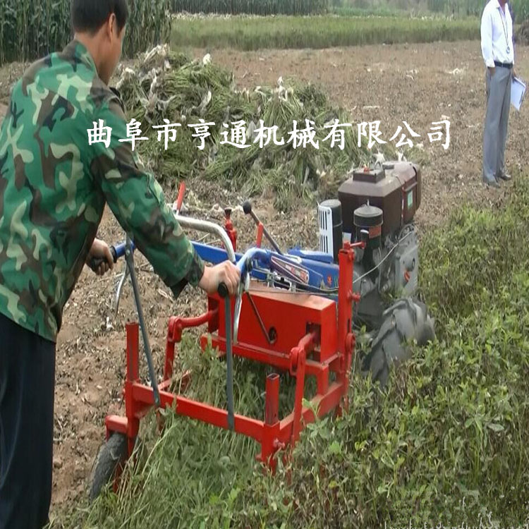 新型土豆收獲機(jī)圖片 多功能馬鈴薯收獲機(jī) 薯類收獲機(jī)參圖