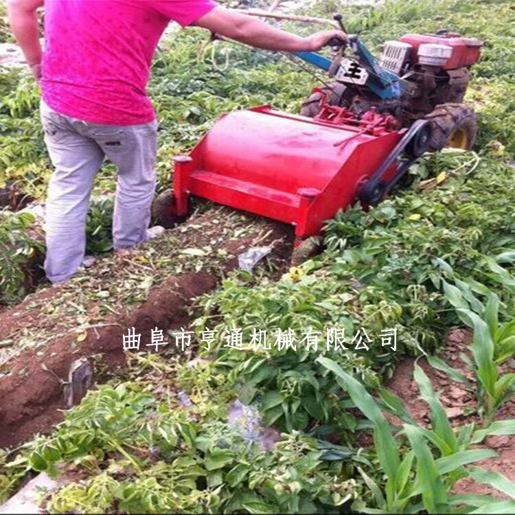 土豆馬鈴薯殺秧機 土豆殺秧機 紅薯土豆甜菜打秧機多少錢