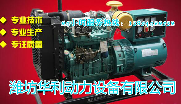 100kw康明斯柴油發(fā)電機(jī)組 三相永磁發(fā)電機(jī)