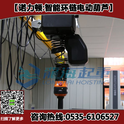 同軸手柄智能電動(dòng)葫蘆250kg,智能型提升工具,單手搬運(yùn)