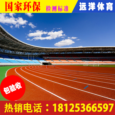 混合型塑膠跑道價錢|混合型塑膠跑道材料|中山混合型塑膠跑道廠家