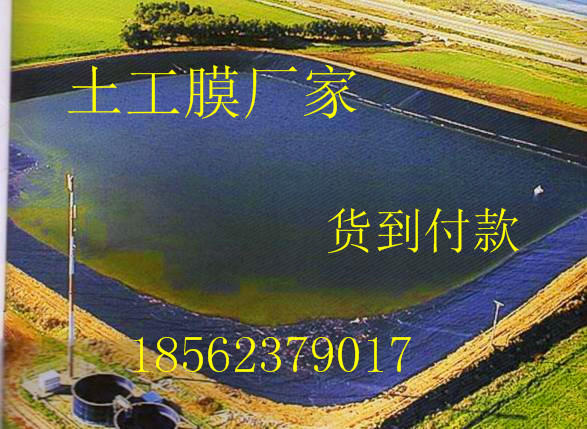 浙江防滲膜廠家&0.75mm價(jià)格