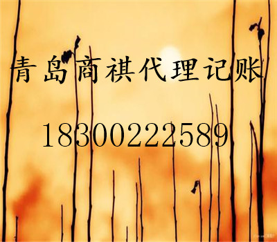 專業(yè)公司注冊、代理記賬、財(cái)稅咨詢