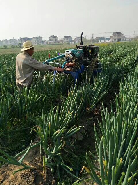 果園深度開溝施肥回填機