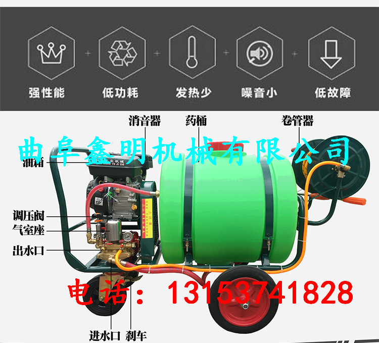 臺(tái)前縣新型手推式蔬菜果樹殺蟲噴藥機(jī) 果園除草噴霧機(jī) 園林噴藥機(jī)