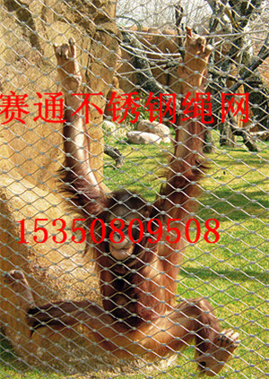 娛樂設(shè)施防護(hù)網(wǎng) 動(dòng)物園籠舍廠家直銷