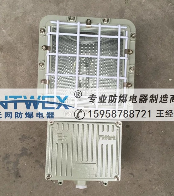 BAT52-N1000 防爆泛光燈 1000W BAT52-L1000 金鹵燈