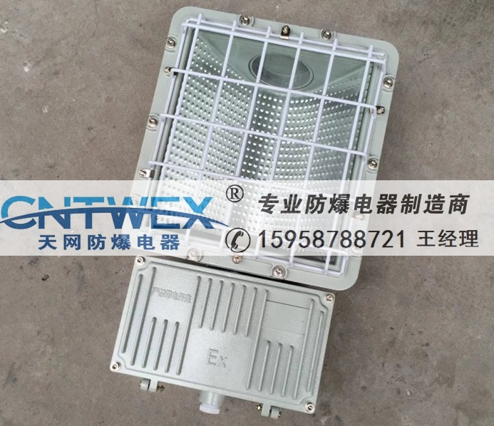 廠家直銷BAT53-250W/400W/1000W防爆泛光燈防爆射燈 汕頭直銷