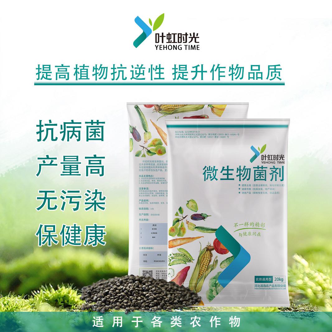 微生物菌劑 農(nóng)業(yè)微生物菌劑