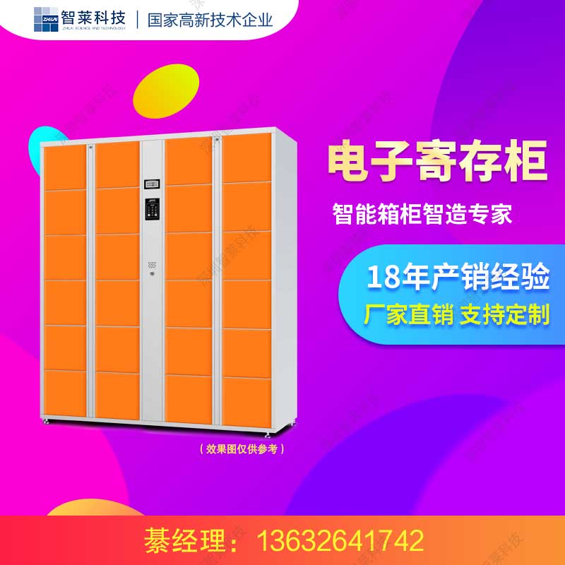 員工電子儲(chǔ)物柜 廠家直銷 可定制