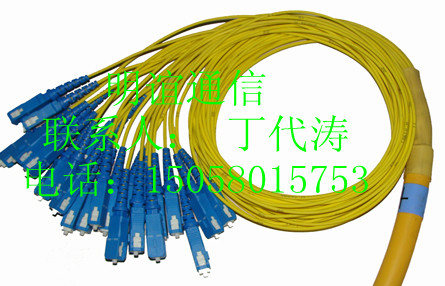 電信機(jī)房【12芯束狀尾纖-[FC-ST]12芯束狀尾纖-束狀尾纖】