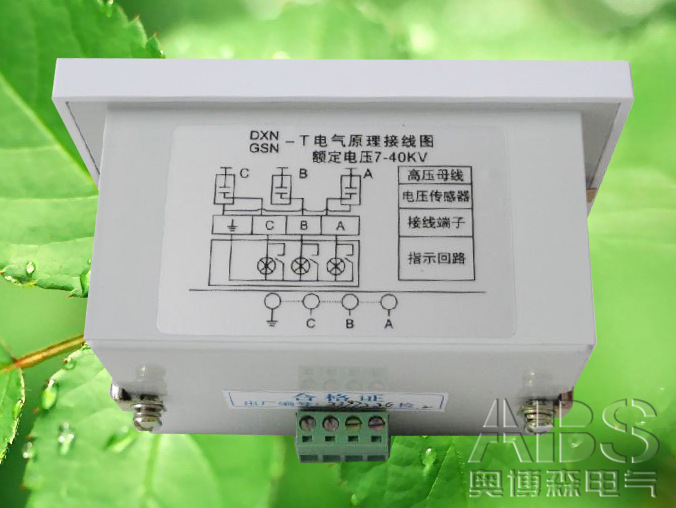 ADXN-Q  高壓帶電顯示閉鎖裝置  高壓帶電顯示傳感器