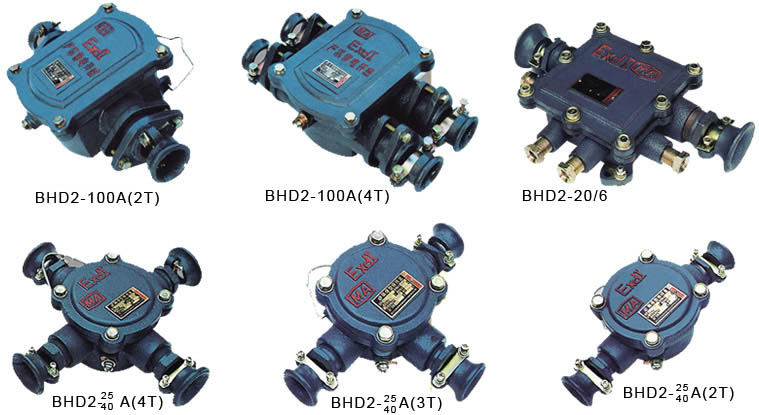 BHD2-40A(2T) BHD2-40A(3T) 礦用接線盒