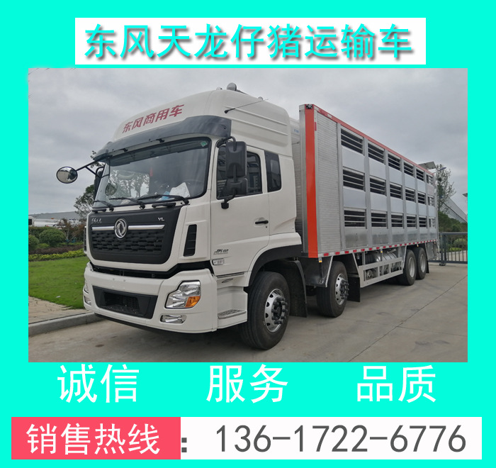 東風(fēng)天龍畜禽運(yùn)輸車 CLW5310CCQD5型東風(fēng)天龍前四后八仔豬運(yùn)輸車