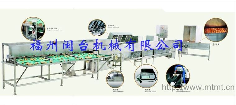 洗蛋機、清洗分級機(MT-100)