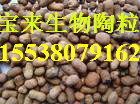 烏魯木齊市生物陶粒濾料/拉薩市生物陶粒濾料/生物陶粒濾料廠家直銷