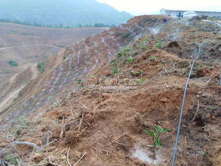 山地果園霧化微噴  南寧微噴灌安裝