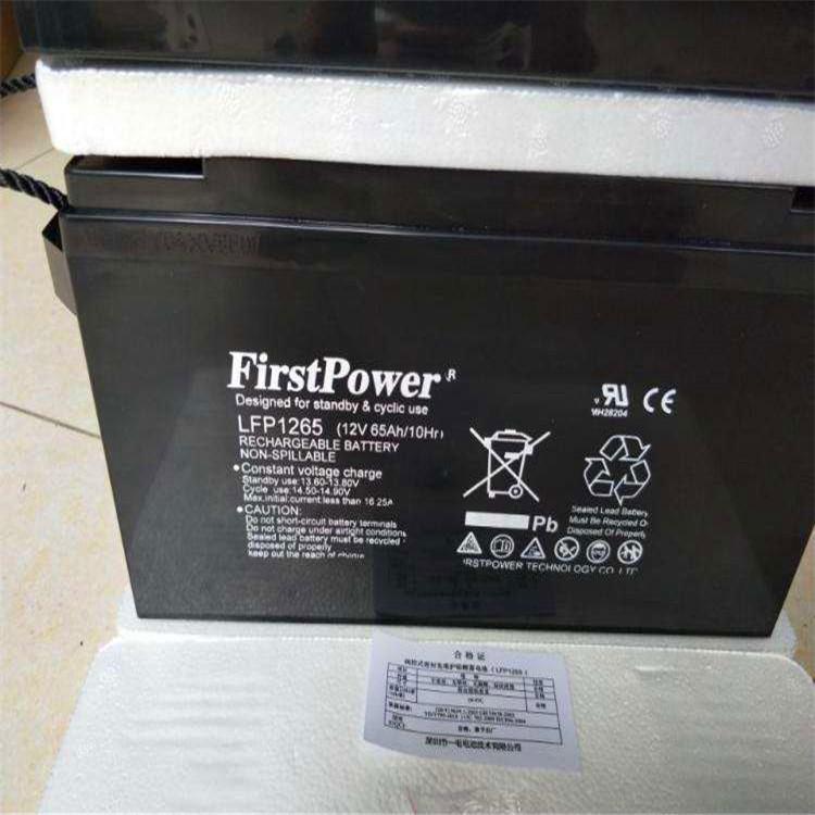 一電蓄電池LFP1265 12V65AH免維護(hù)電池UPS電源蓄電瓶