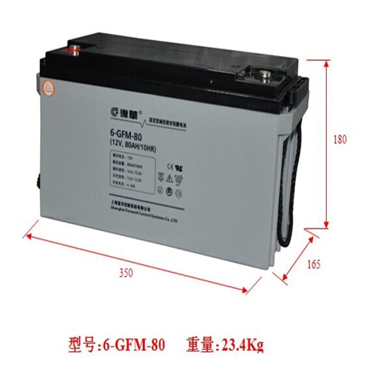 復(fù)華蓄電池6-GFM-80保護(hù)神蓄電瓶12V80AH UPS/EPS直流屏備用