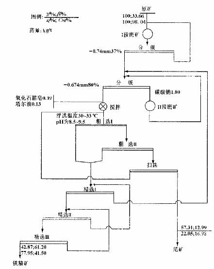 鉑思特赤鐵礦重選工藝赤鐵礦反浮選工藝鐵尾礦的再選從銅鐵尾中回收金