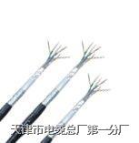 信號(hào)電纜PZYAH23,鐵路用PZYAH23信號(hào)電纜-信號(hào)電纜PZYAH23