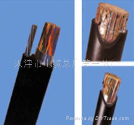 鎧裝電纜HYA53 50×0.4mm， 