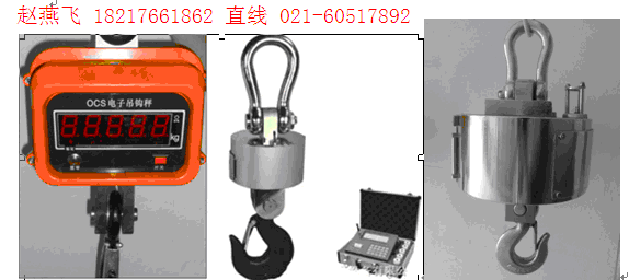 朔州電子吊稱‖吊磅*朔州耐高溫吊秤【1噸2噸3噸5噸10噸15噸20噸30噸】