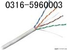 邯鄲RS485電纜銷售, 邯鄲RS485通信電纜廠家, 邯鄲RS485電纜生產(chǎn)，