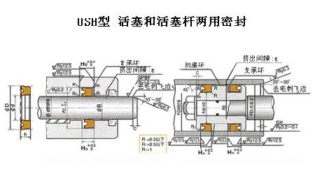 USH型活塞桿雙用密封件  日本NOK密封件  USH密封圈