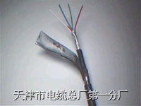 鎧裝通信電纜 單芯鎧裝電纜規(guī)格型號(hào)