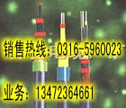 礦用交聯(lián)控制電纜 MKYJVRP--專業(yè)生產(chǎn)礦用電纜--高質(zhì)量標(biāo)準(zhǔn)