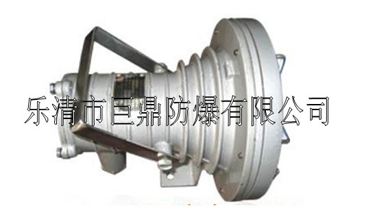 DGC24/127L（A）礦用隔爆型LED投光燈，礦用LED投光燈，24W投光燈