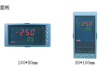 NHR-5710A-01-X/X/X虹潤8路巡檢儀