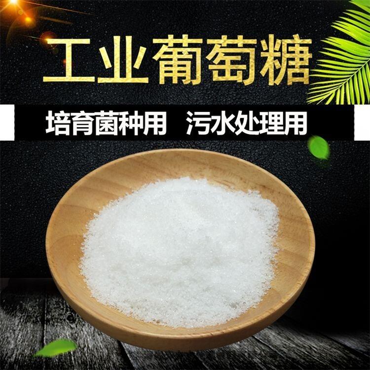 四會工業(yè)水處理葡萄糖現(xiàn)貨直銷