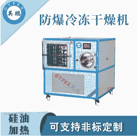 南京工業(yè)防爆風(fēng)冷式凍干機(jī)