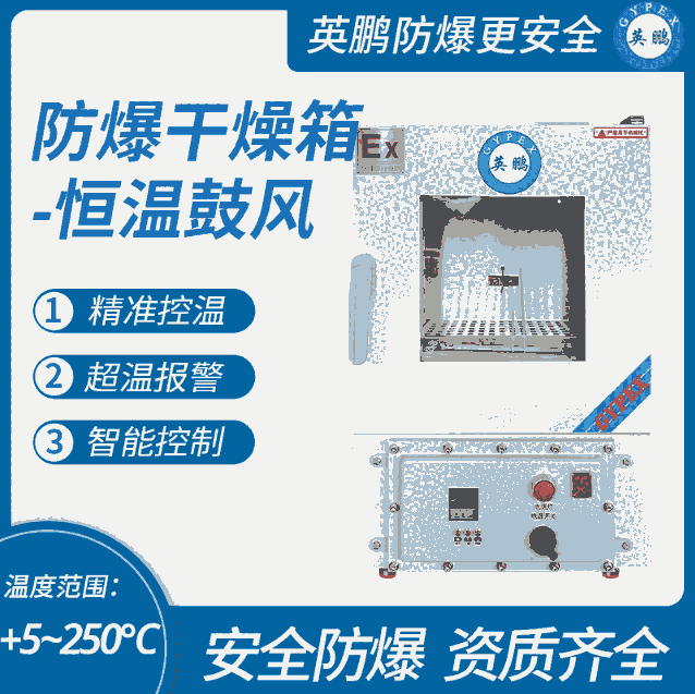 防爆恒溫鼓風(fēng)干燥箱 70升