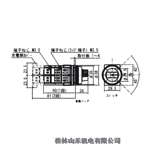 日本MARUYASUマルヤス電業(yè)指示燈開關(guān)A30FSA32411RLE