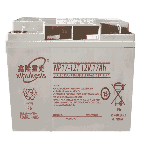 免維護(hù)鉛酸蓄電池NP24-12/12V24Ah代理商