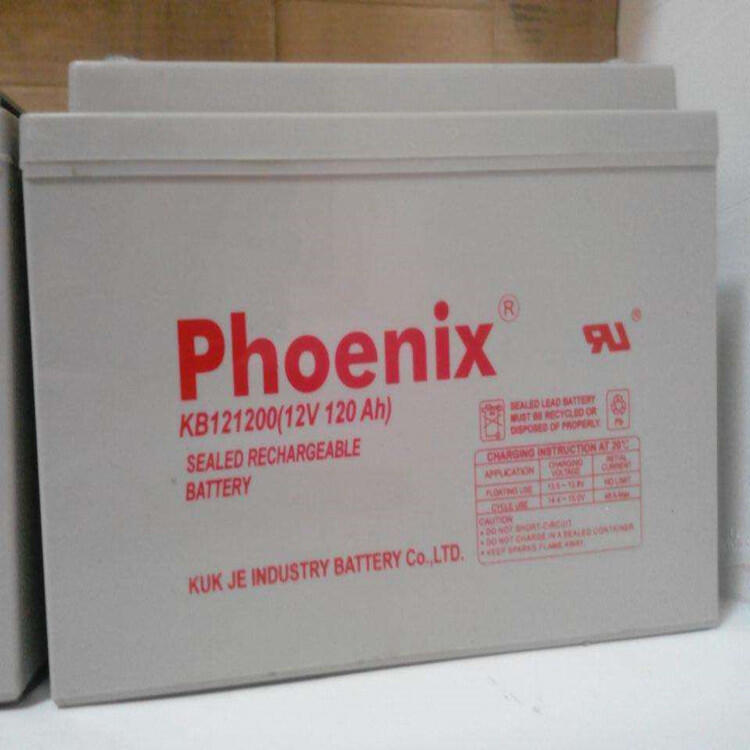 Phoenix鳳凰蓄電池KE12120012V120Ah閥控鉛酸蓄電池