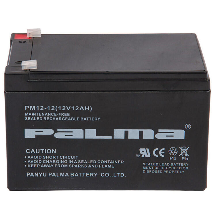 RPaLMa늳PM100-1212V100Ah(bo)r(ji)