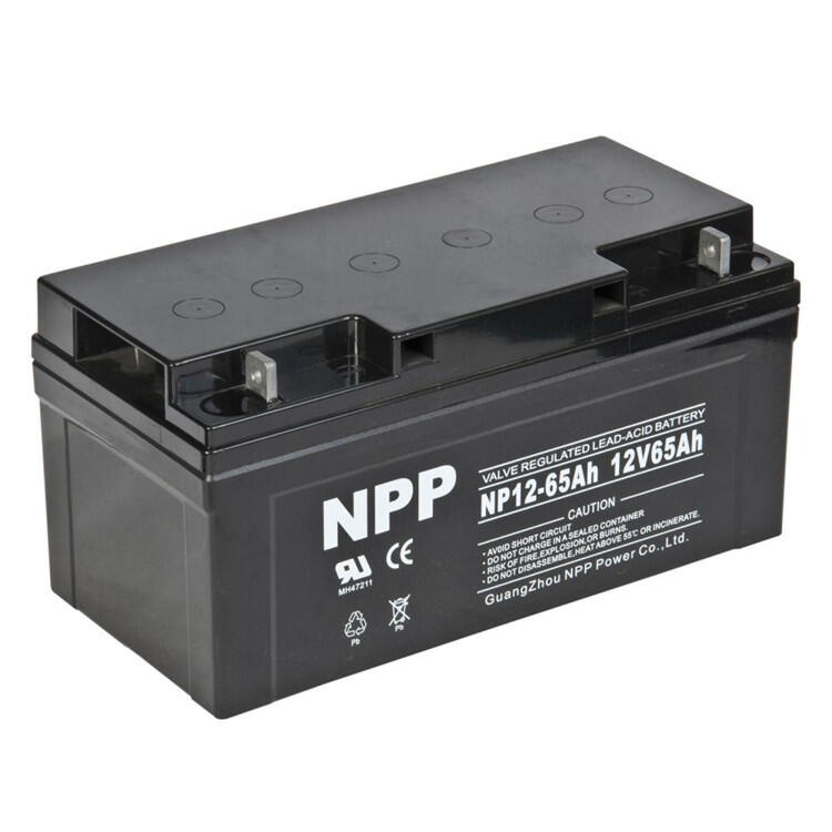 NPP늳NPG12-6512V65Ahͨ