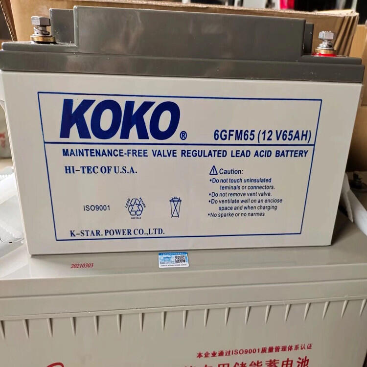 KOKO蓄電池6GFM40-1212V40Ah廠家直銷