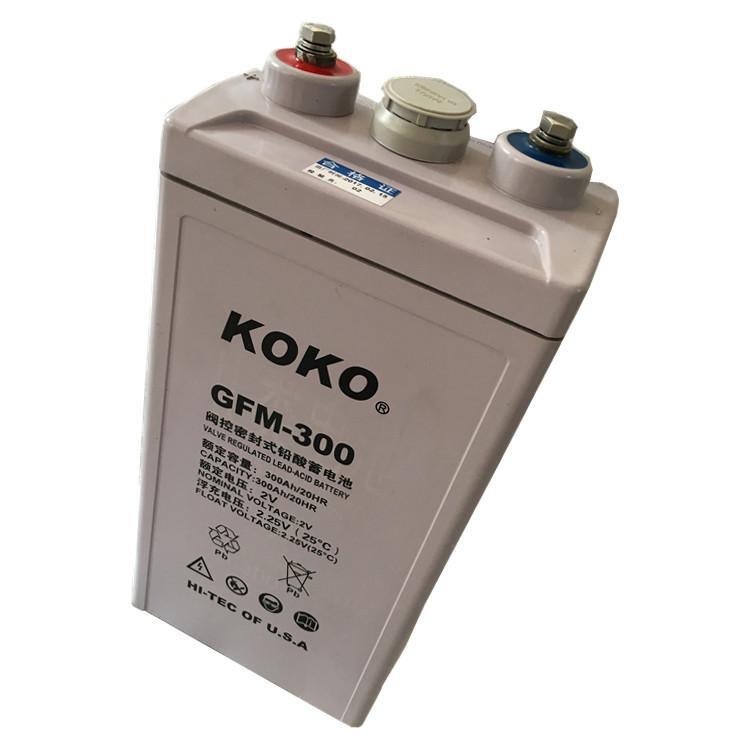 KOKO蓄電池6GFM100-1212V100Ah消防應急電瓶